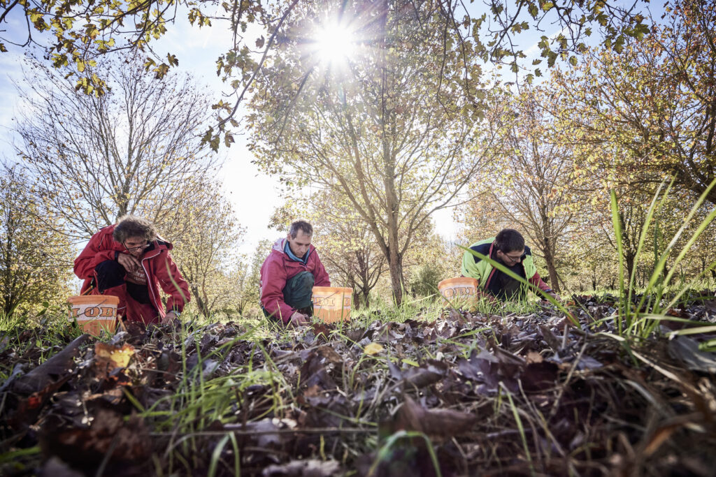 Männer sind draußen am Boden und lesen etwas auf, vor ihnen Kübel.