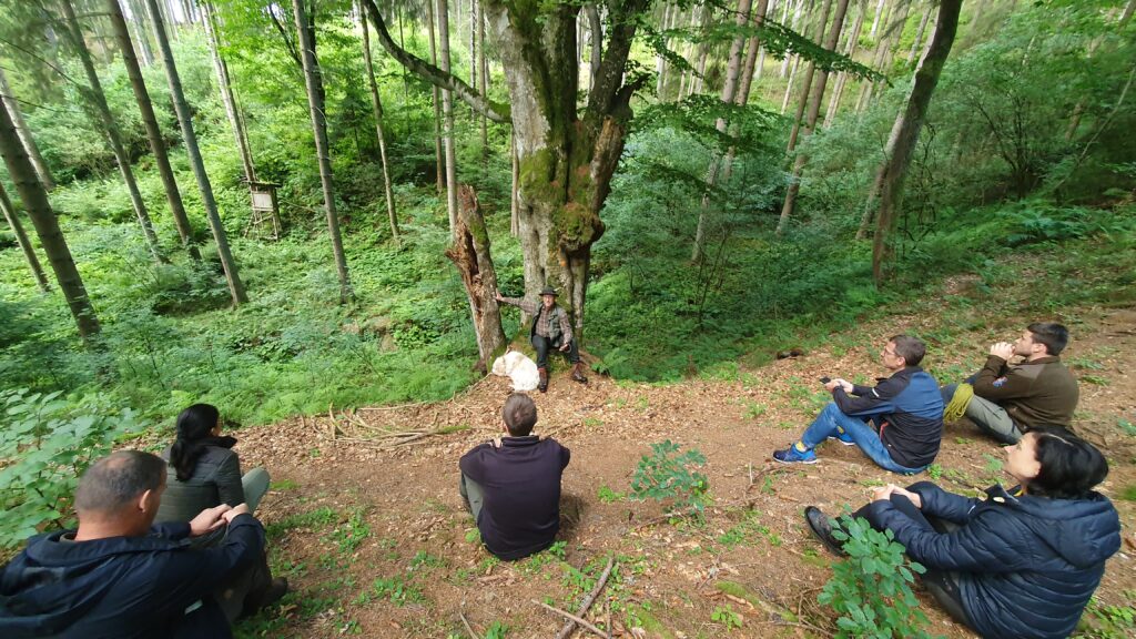 Personen sitzen im Wald an einem Hang, hören einem Dozenten zu, der unten sitzt und eine Hand an einen toten Stamm hält