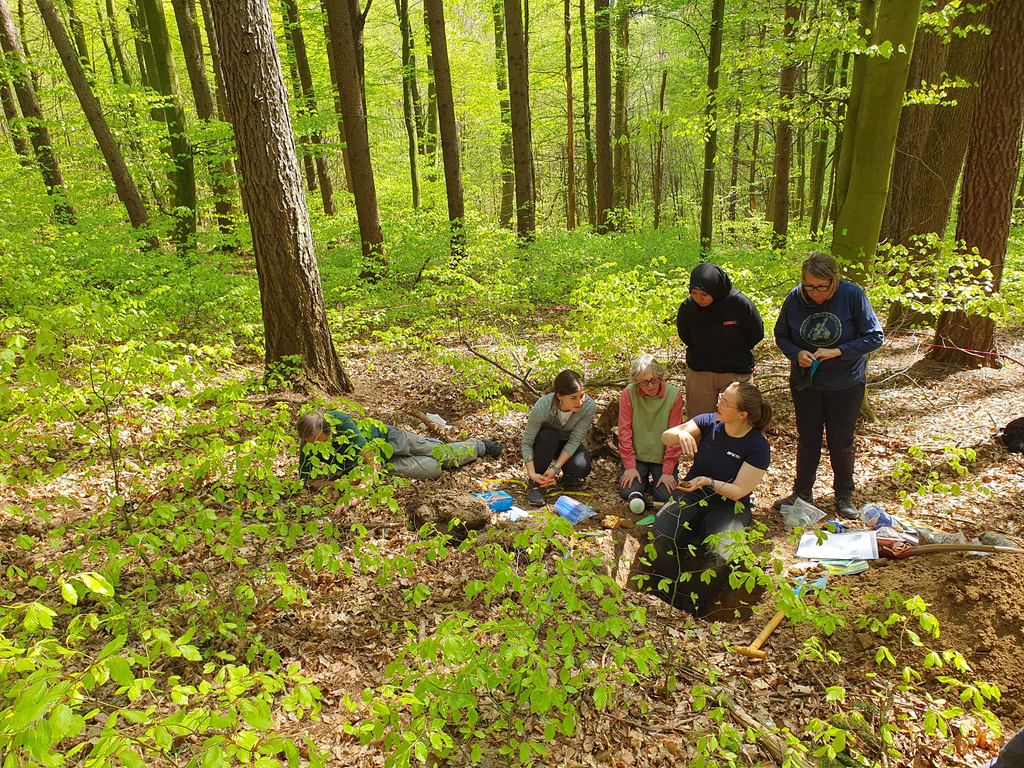 Auf dem Bild ist eine Gruppe im Wald zu sehen.