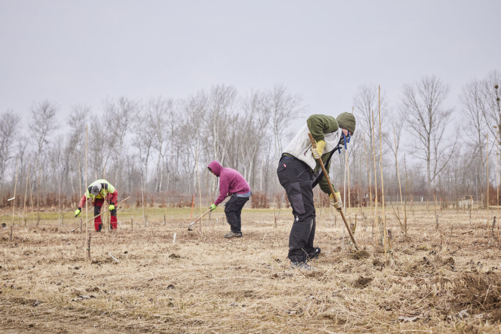 3 Personen in winterlicher Arbeitskleidung mit Harken.