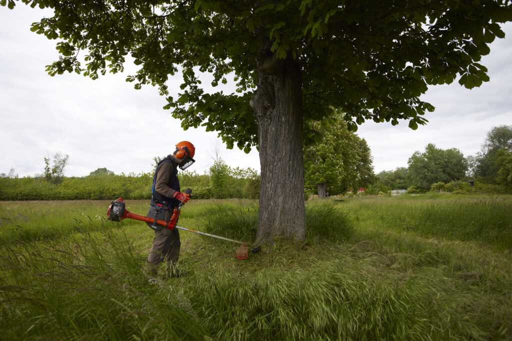 Mensch in Arbeitskleidung schneidet mit Freischneider Baum von Gras frei.
