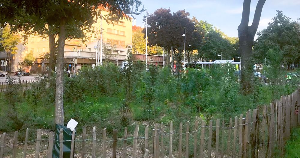 Grünfläche zwischen innerem und äußerem Gürtel in Wien