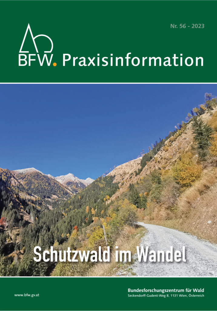 Titelbild Praixsinformation Nummer 56, das einen Schutzwald mit Wanderweg zeigt