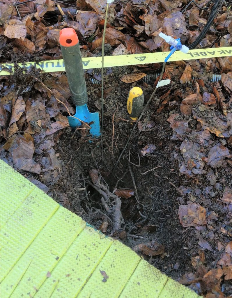 Ein Erdloch mit sichtbaren Wurzeln, daneben Arbeitsgeräte