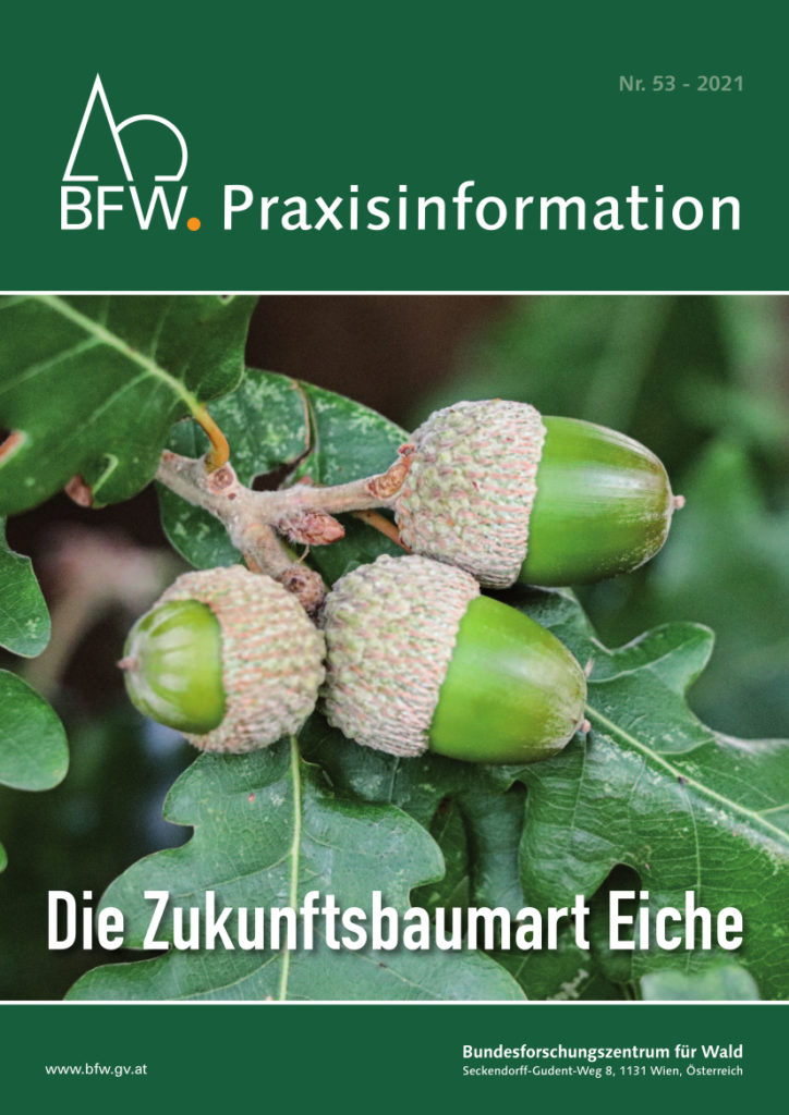 Titelblatt der Praxisinformation, das drei Eicheln und Eichenblätter zeigt