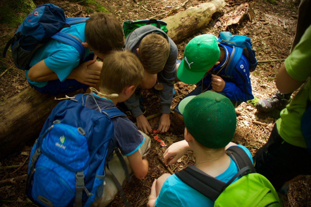 Schulkinder bücken sich und schauen etwas auf dem Waldboden an