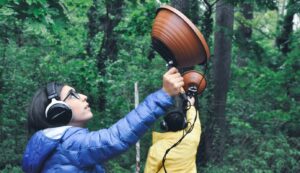 Citizen-Science-Award: Schulklassen erforschen die Biodiversität des Waldes