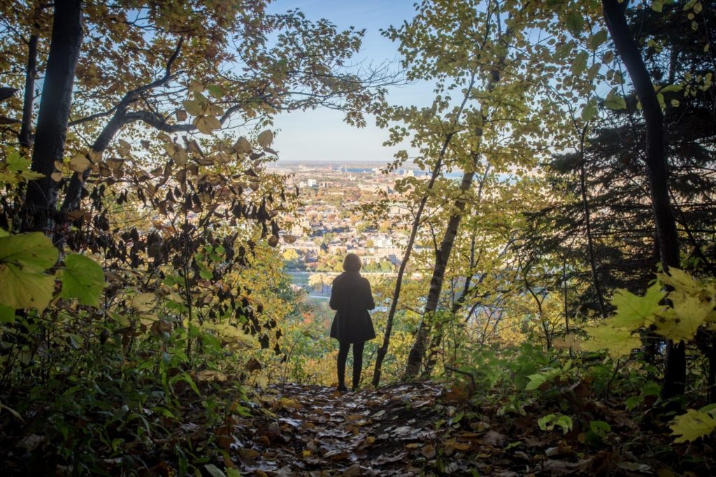 Eine Frau steht mit dem Rücken zur Kamera in einem Stadtwald und blickt auf die Stadt vor ihr