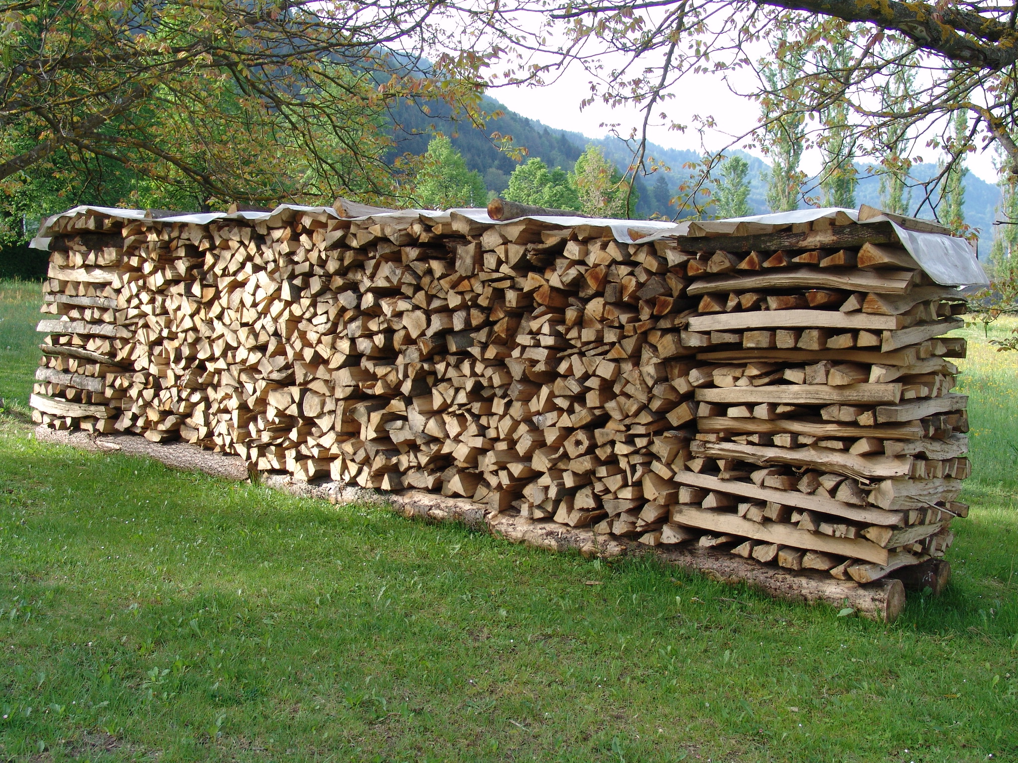 Großer Brennholzstapel auf einer Wiese