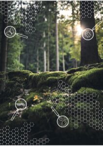 Trittsteinbiotope/ Connect4Bio