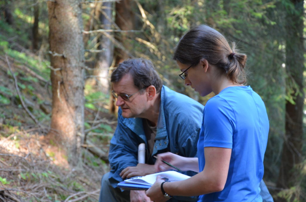 Standortskartierer stehen im Wald, blaue T-Shirts