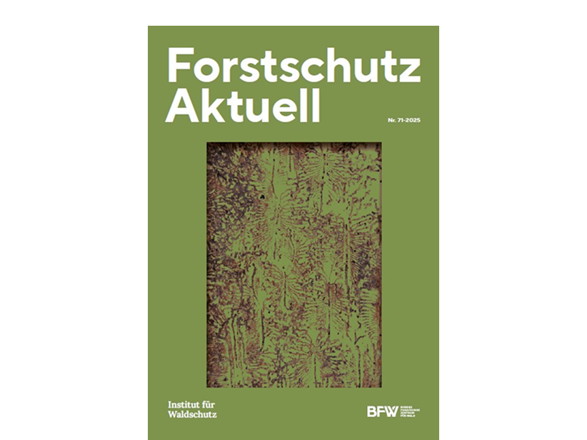 Cover des Magazins mit dem Bild einer vom Buchdrucker befallenen Rinde Cover des Magazins mit dem Bild einer vom Buchdrucker befallenen Rinde