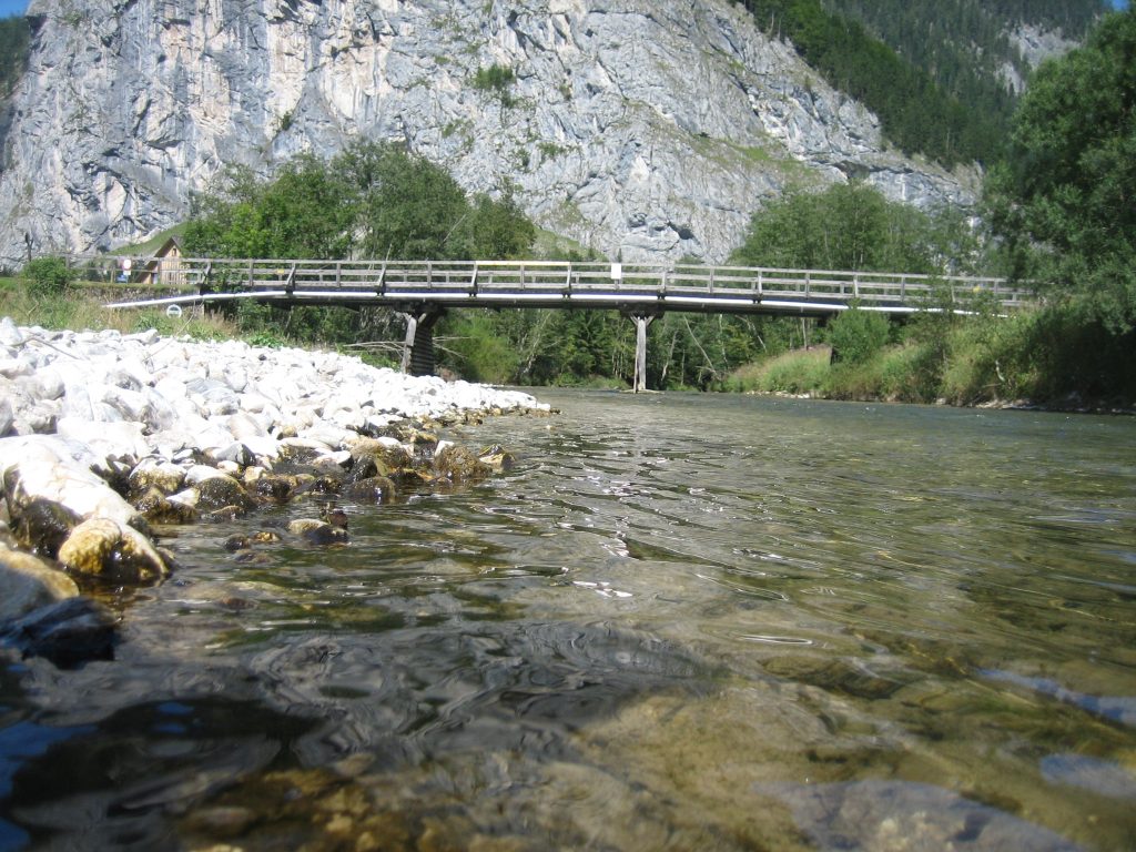Die Erlauf in Niederösterreich, Blick auf Bachbett und Fluss