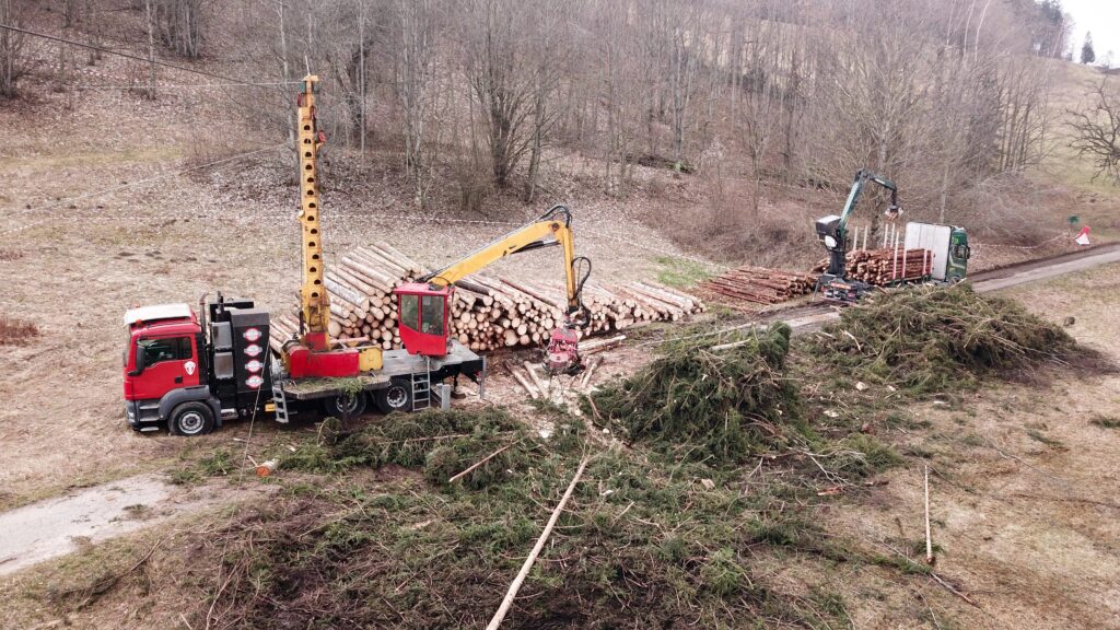 Seilkräne bei der Holzernte