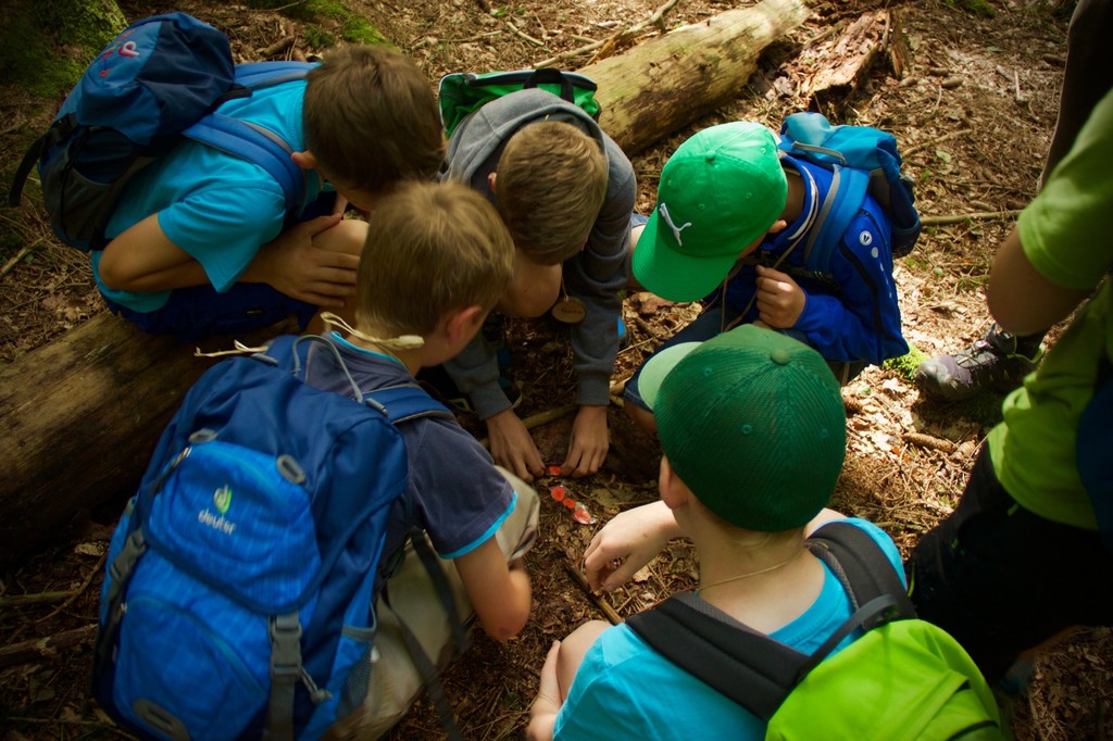 Kinder beugen sich gemeinsam über den Waldboden Kinder beugen sich gemeinsam über den Waldboden