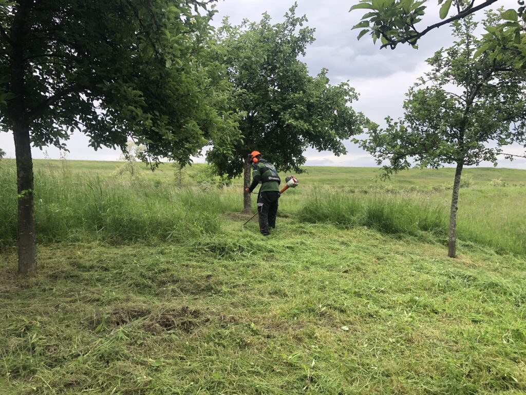 Junger Mann in Arbeitkleidung schneidet hohes Gras einer Wiese zurück.