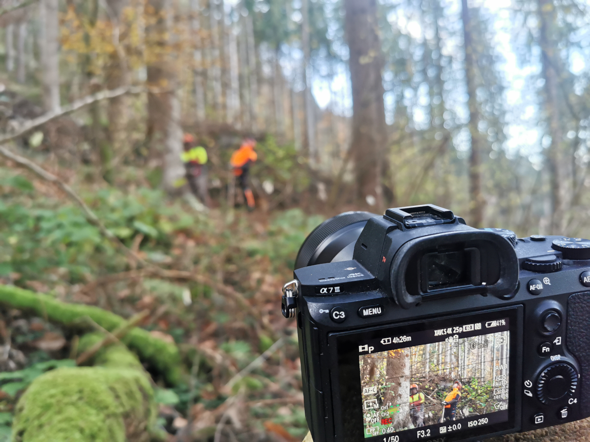 Man sieht durch den Sucher einer Kamera Waldarbeiter im Wald