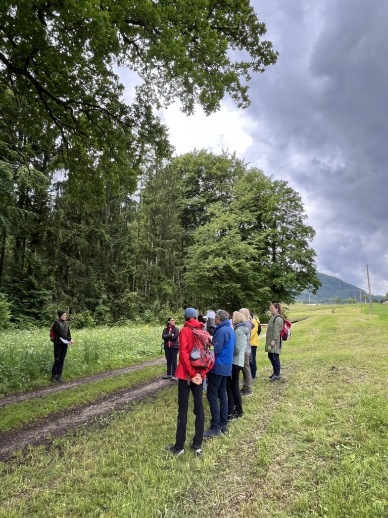 Personengruppe steht am Waldrand und lauscht einer Anleiterin.