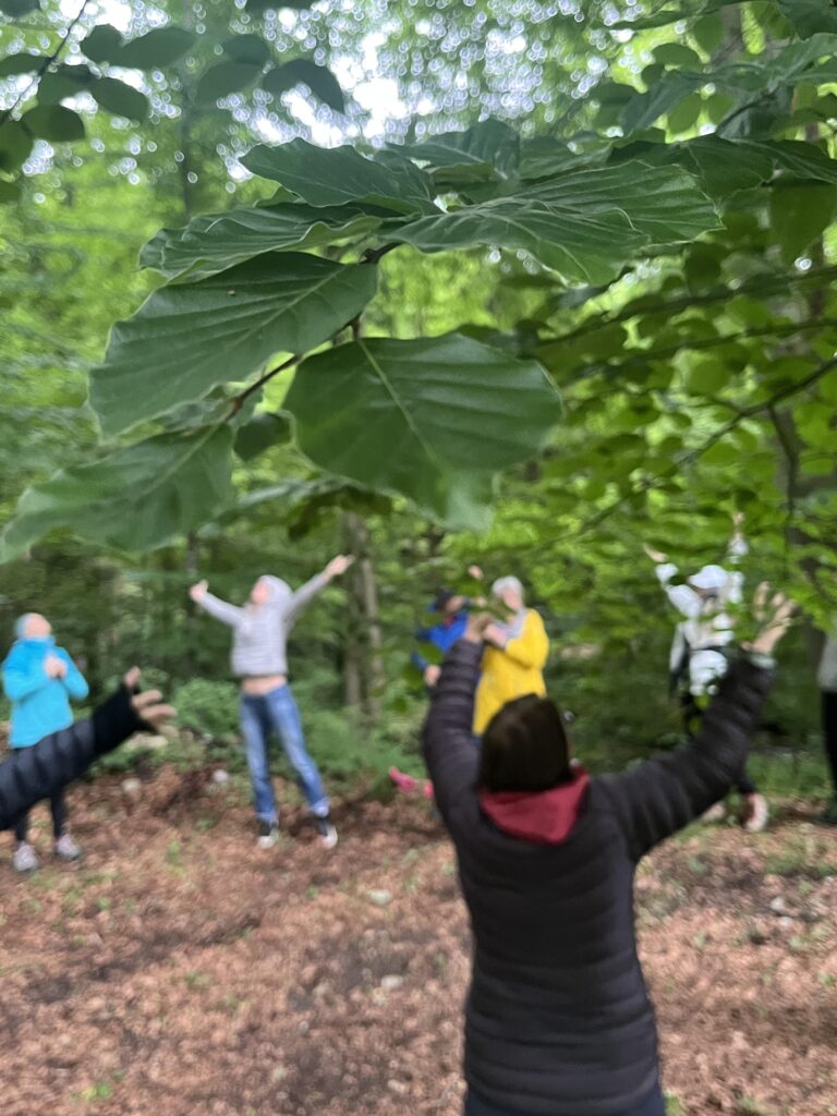 Personen bewegen sich im Wald.