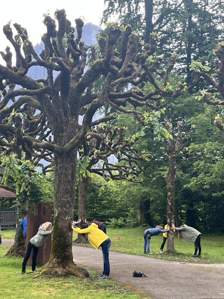 Personen draußen, die an Bäume gelehnt Dehnübungen machen.