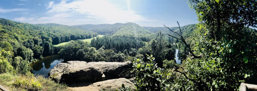 Blick von einer Anhöhe auf den Nationalpark Thayatal