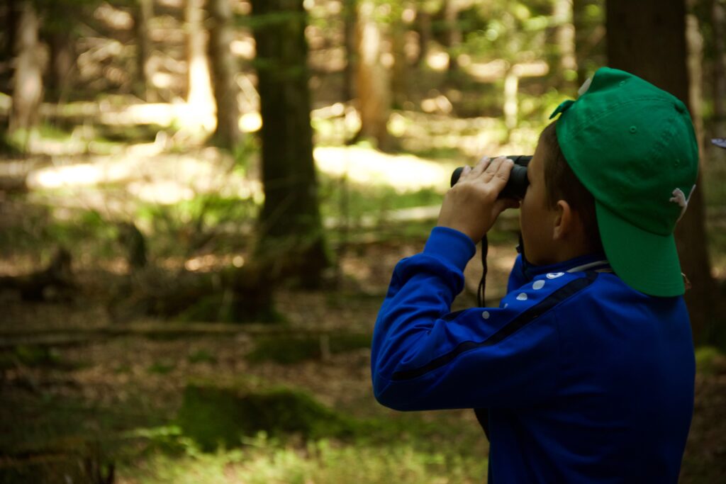 Ein Kind schaut durch ein Fernglas in den Wald hinein