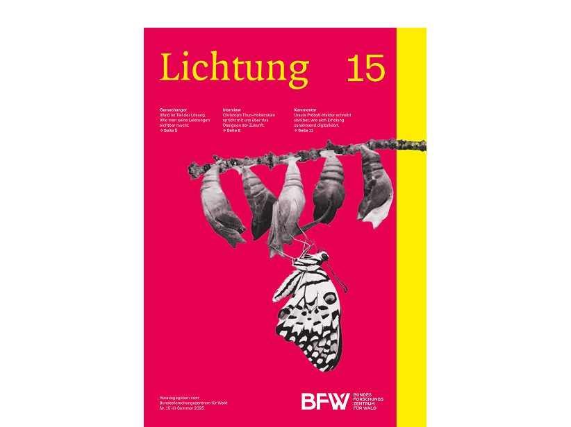 Titelbild mit Schmetterlingspuppen und einem geschlüpften Schmetterling.