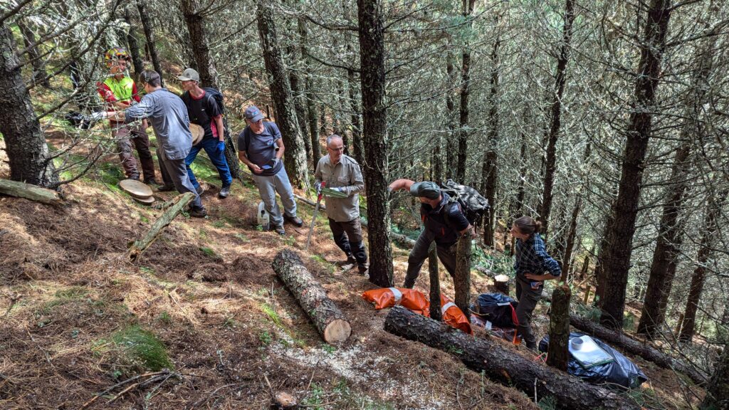 Die Projektgruppe Bergauf arbeitet im Wald. 