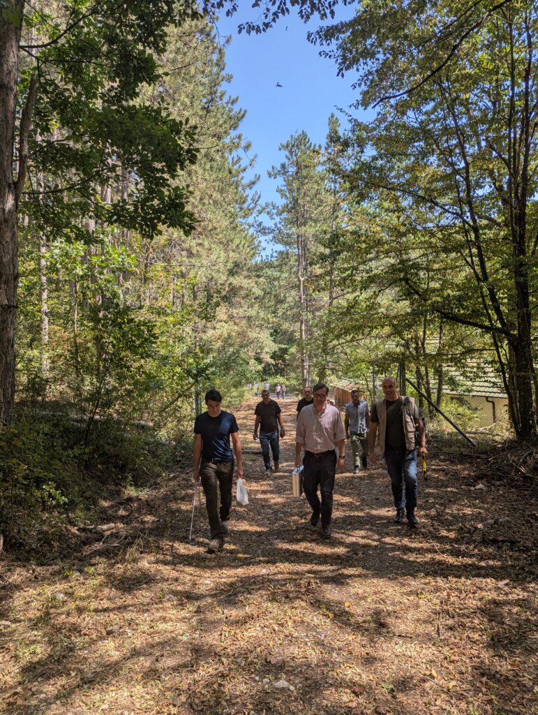 Gruppe Menschen gehen auf einem sonnigen Weg im Wald
