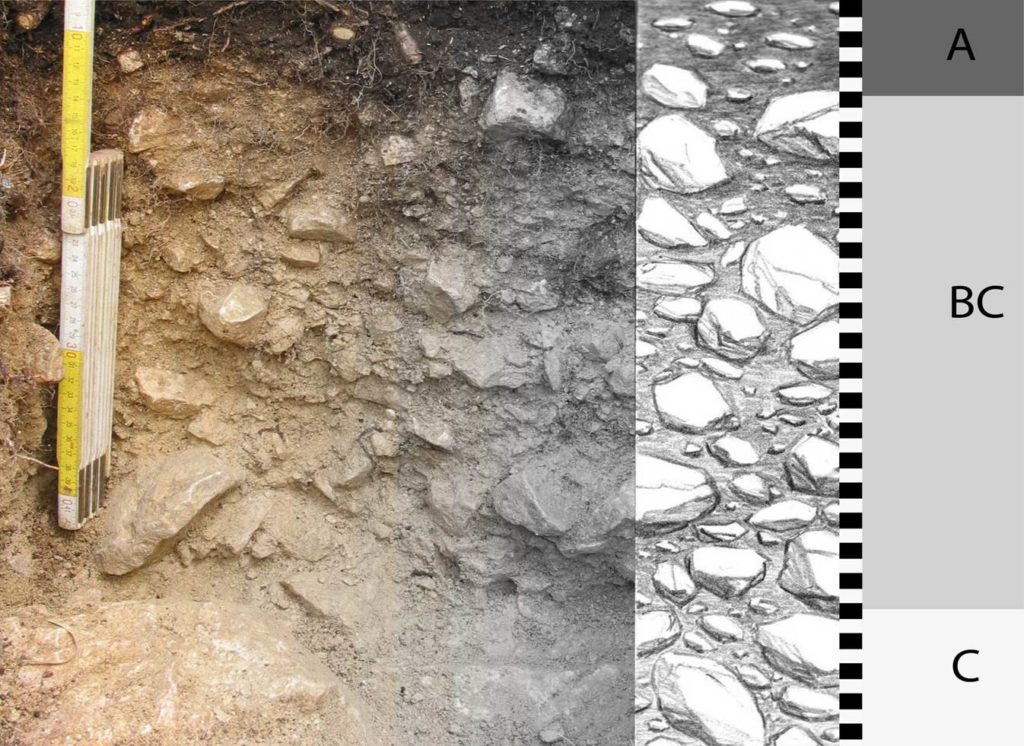 Bodenprofil: links ein Maßstab und ein Boden mit vielen Steinen, rechts schematische Zeichnung in grau