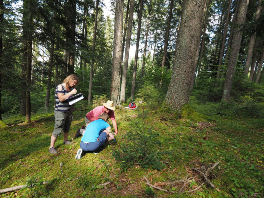 Zwei Menschen untersuchen knieend einen Waldboden, eine Frau steht seitlich davon und notiert etwas