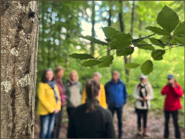 Gruppe Menschen lauscht im Wald einer Green Care WALD - Vermittlerin