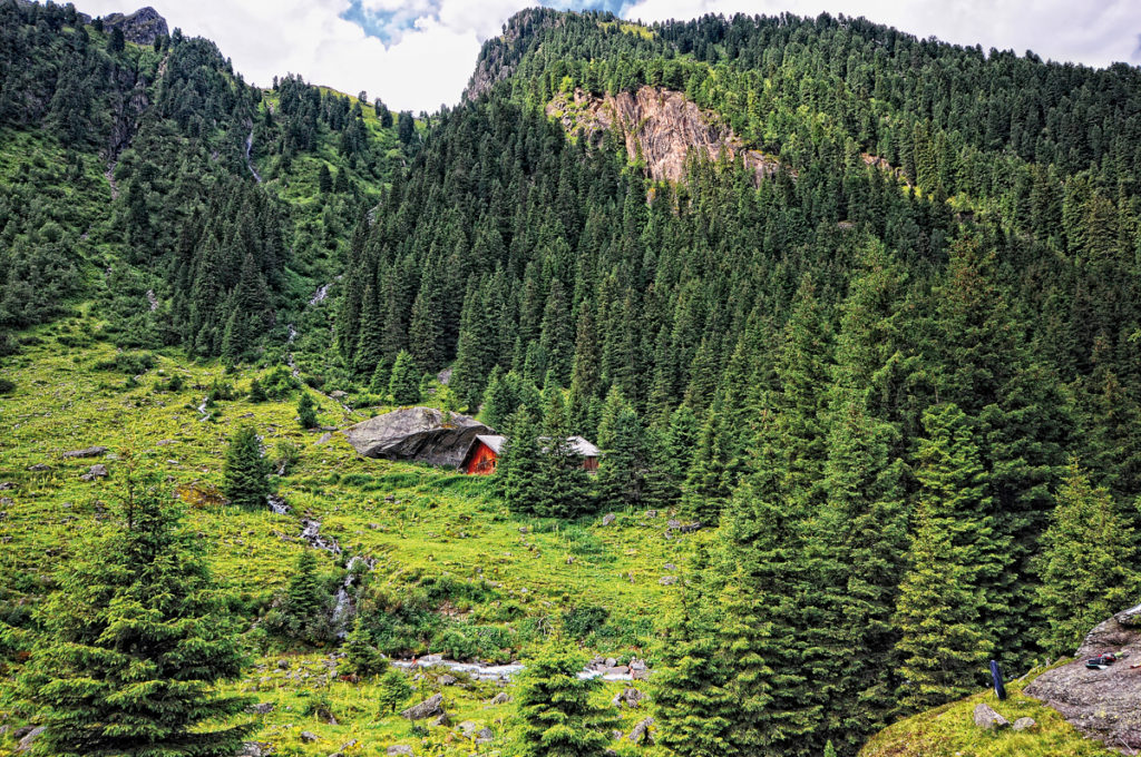 Hütte im Zillertal vor Berg- und Schutzwaldkulisse