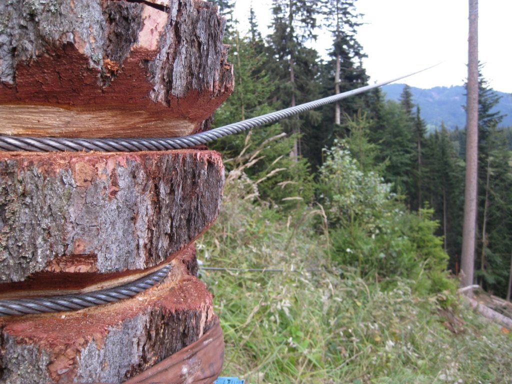 Voranker an einem Baumstamm festgebunden