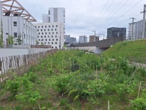 Bepflanzte Grünfläche mit Jungbäumen zwischen Wohnblöcken