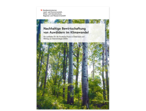 Neuer Leitfaden für die nachhaltige Waldbewirtschaftung von Auwäldern
