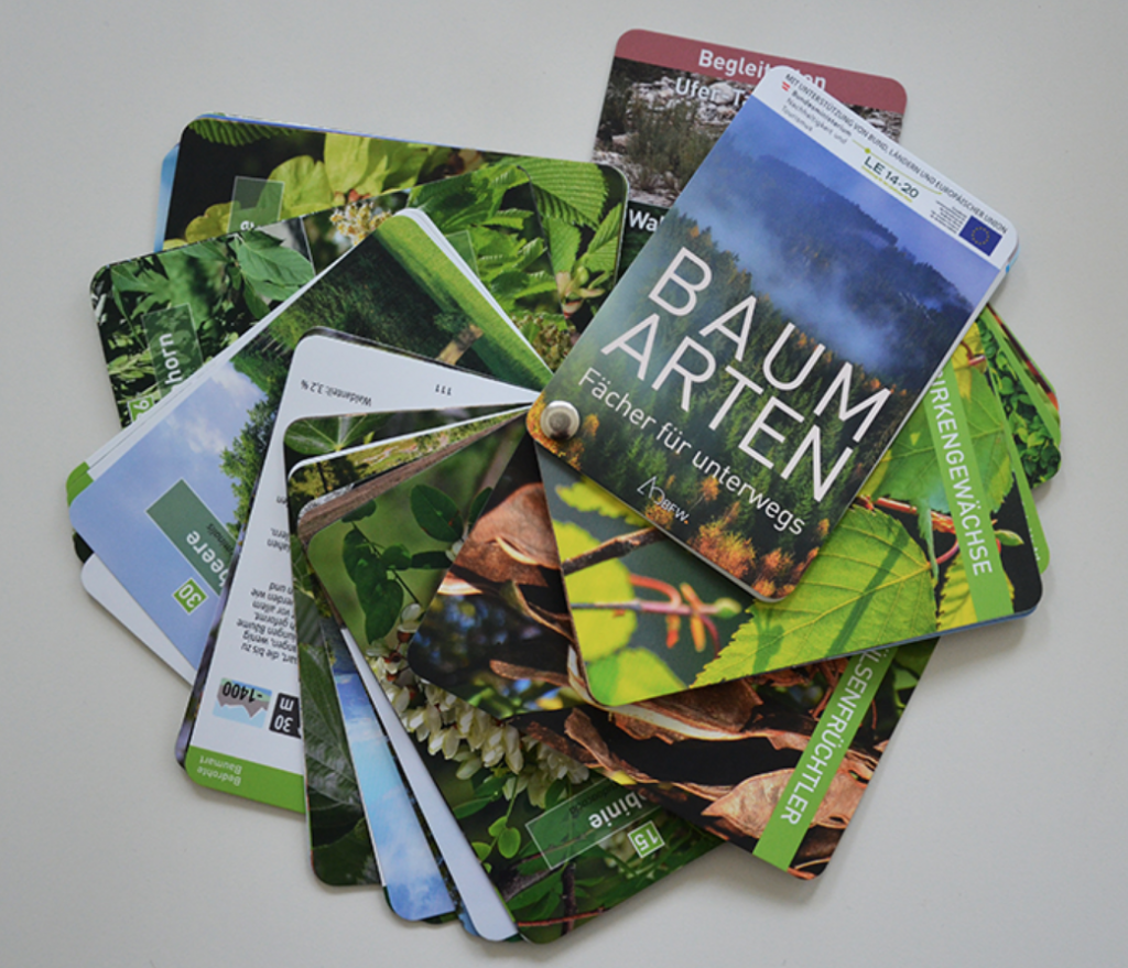 Bestimmungsfächer Baumarten