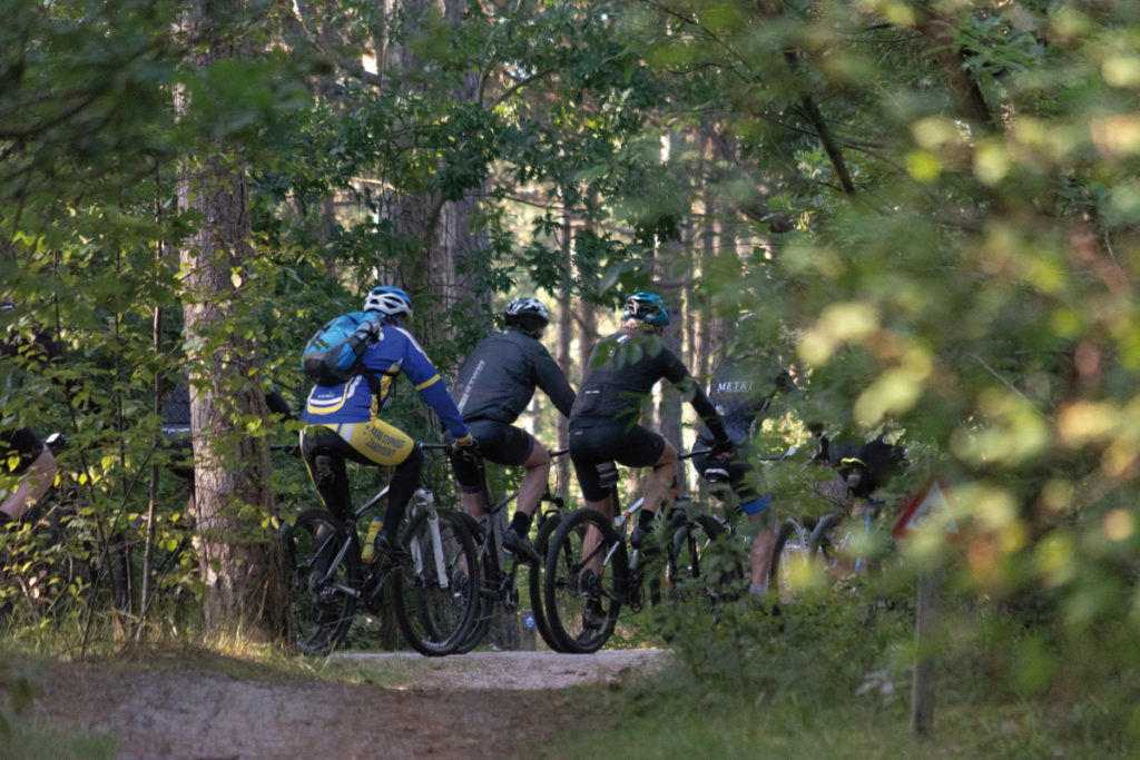 Gruppe von Mountainbike Fahrern im Wald