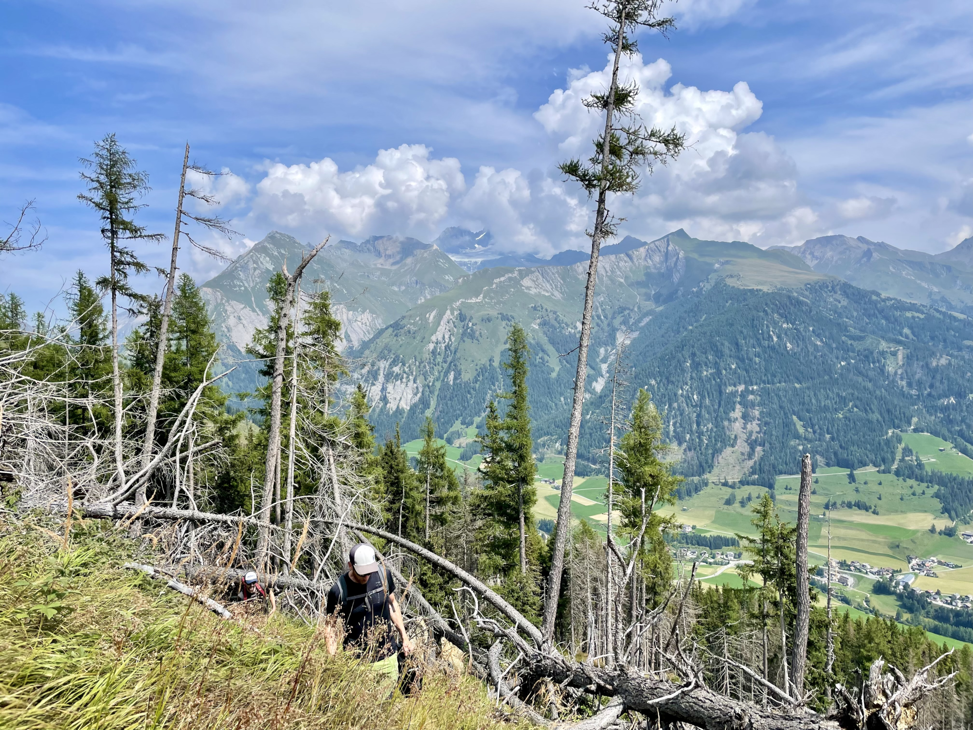 Ansicht eines Waldes in steiler Hanglage