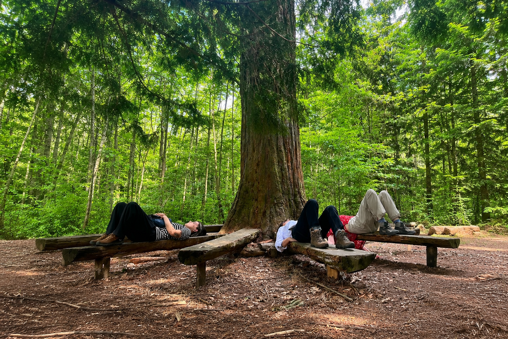 Menschen liegen rund um einen Baum im Wald.