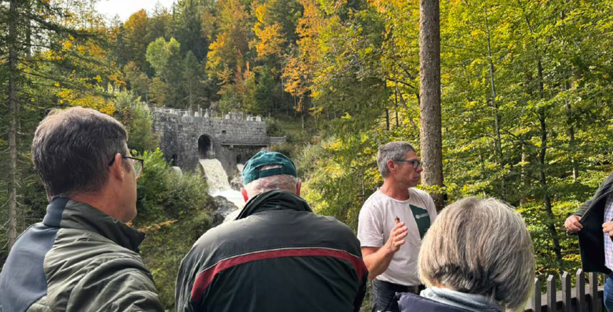 Personen stehen auf einer Brücke im Wald. Eine Person erkärt etwas.