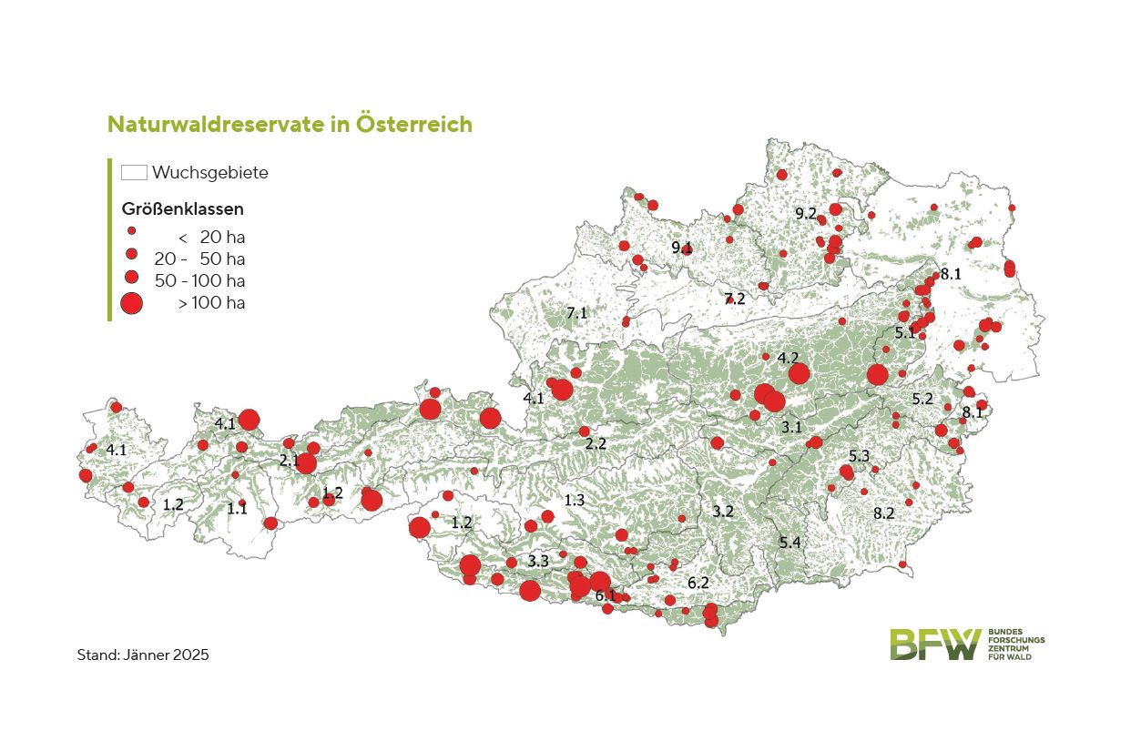 Naturwaldreservate Programm In sterreich BFW naturwaldreservate-programm-in-sterreich-bfw