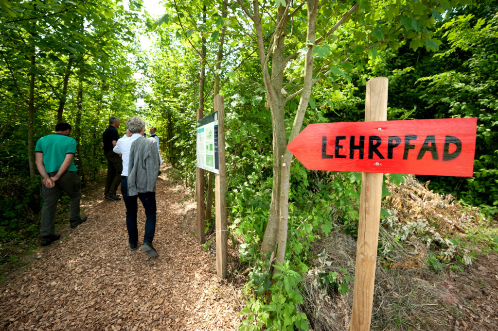 Menschen gehen auf einem Lehrpfad im Wald, rechts davon ist eine Hinweistafel
