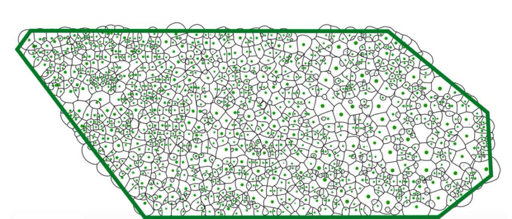 Schematische Darstellung eines Durchforstungsversuch mit Stammquerschnitten und Kronenumriss
