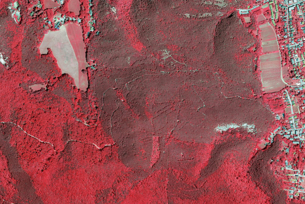 Satellitenbild bei Mödling, das Waldflächen und besiedelte Bereiche zeigt