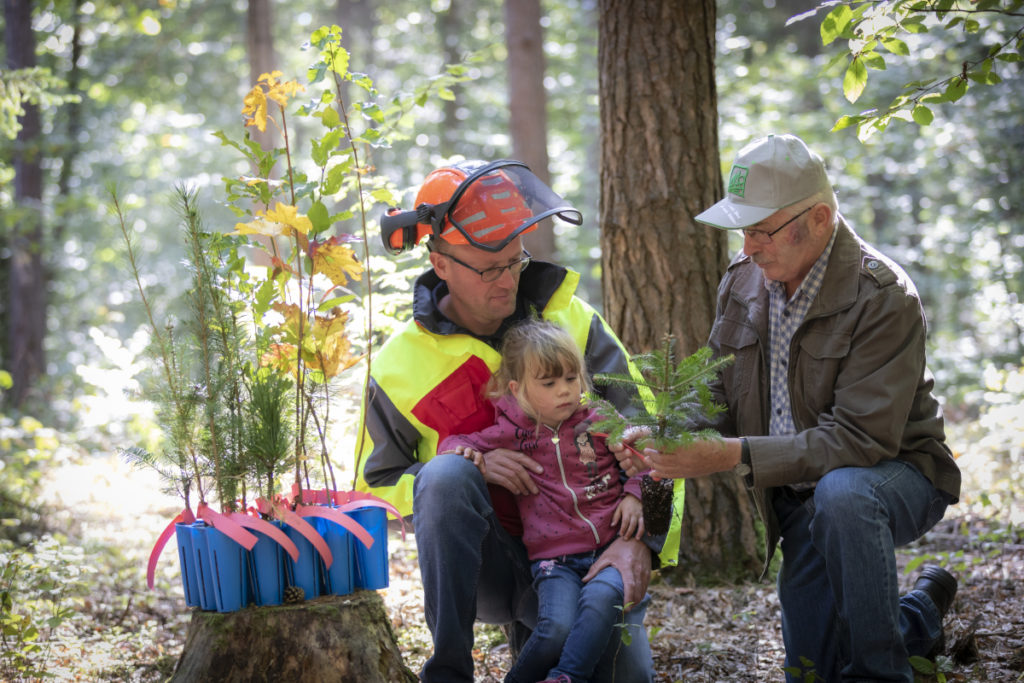 Zwei Waldarbeiter und ein kleines Mädchen betrachten einen Fichtenzweig. Daneben stehen links mehrere junge Baumpflanzen in Töpfen
